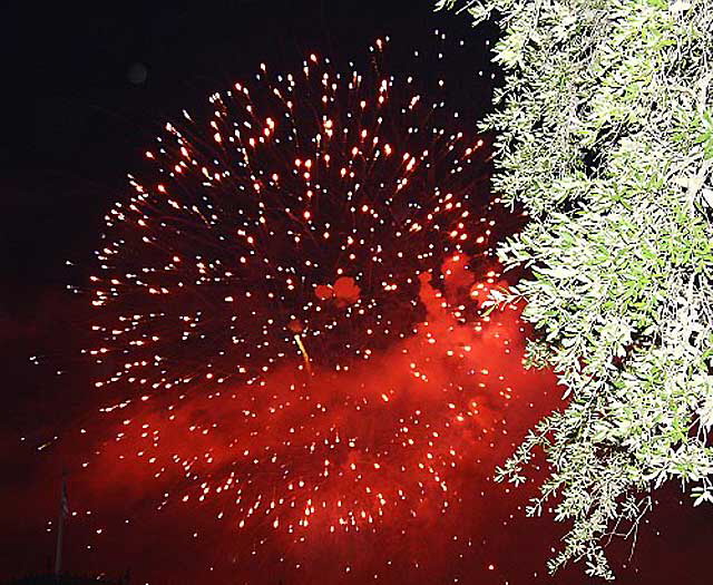 Fireworks at Disneyworld, Orlando, Florida, July 4, 2008