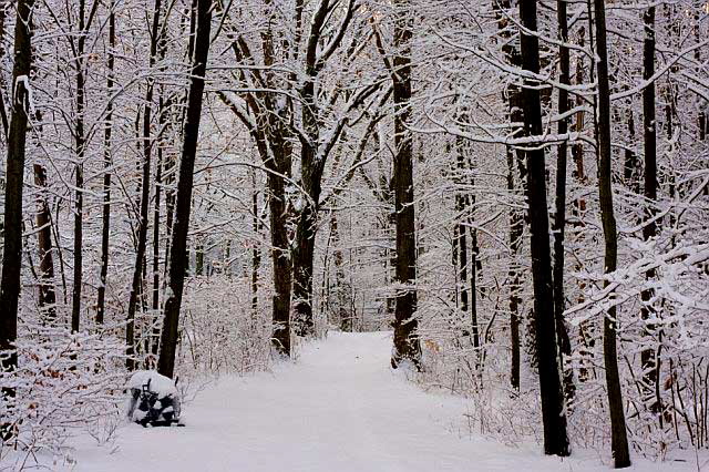 Ellenville, New York, the morning of the last day of the year, 2007