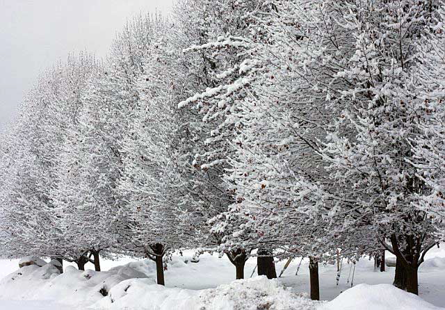 Ellenville, New York, the morning of the last day of the year, 2007