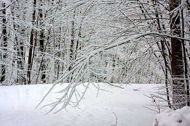 Ellenville, New York, the morning of the last day of the year, 2007