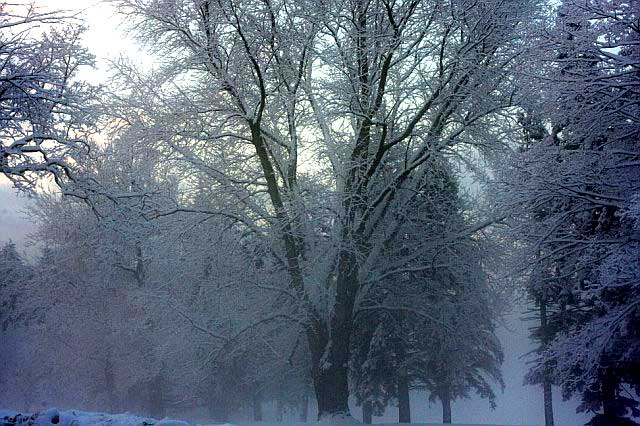 Ellenville, New York, the morning of the last day of the year, 2007