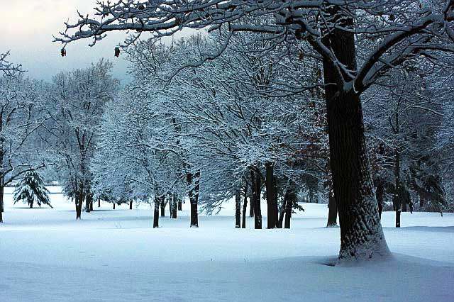 Ellenville, New York, the morning of the last day of the year, 2007