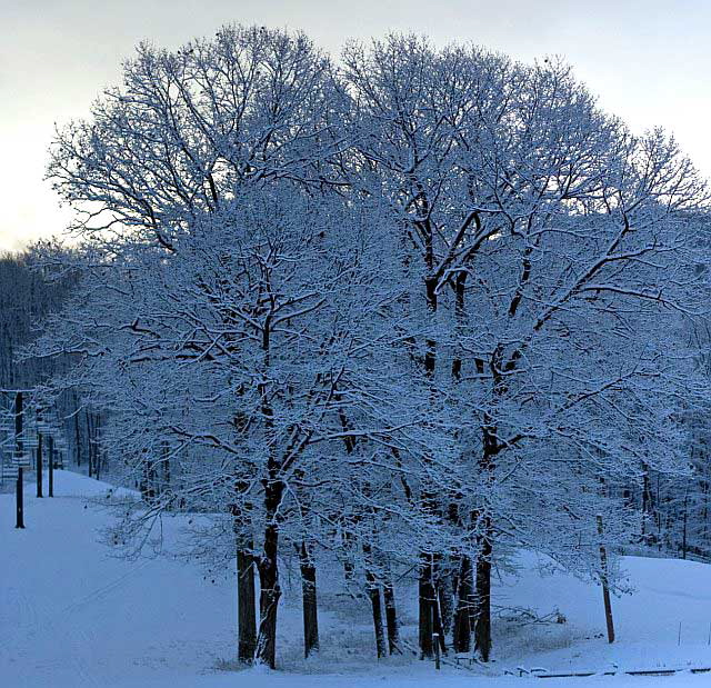 Ellenville, New York, the morning of the last day of the year, 2007