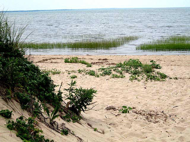 Boat Meadow Beach, Eastham, Mass 