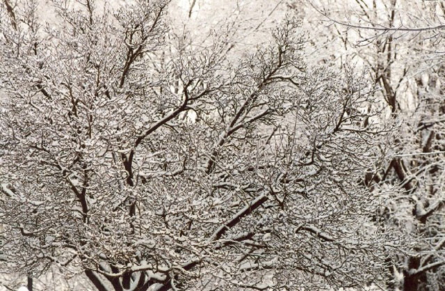 Ice Painting (Storm, January 7)