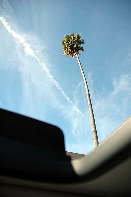 Driving Sunset Blvd - 5 January 2006 