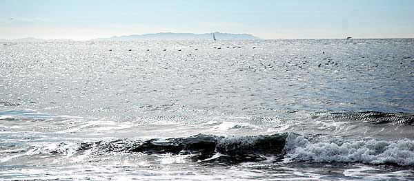 Catalina from Playa del Rey - January 19, 2006