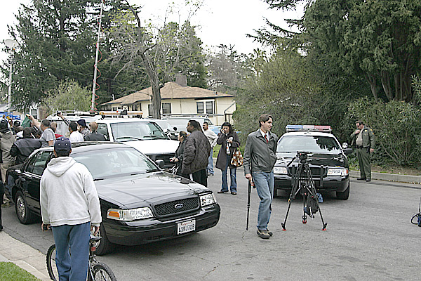 Mountain Lion, Altadena, 27 February 2006 