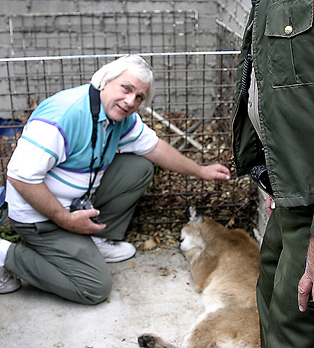 Mountain Lion, Altadena, 27 February 2006 