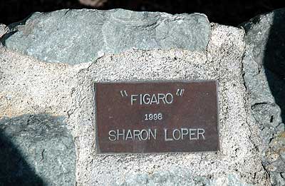 Figaro, 1998, Sharon Loper 