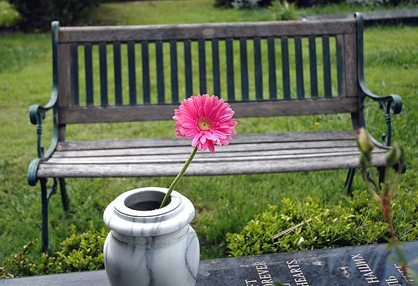 Bloom at Hollywood Forever Memorial Park
