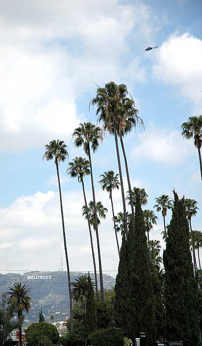 Hollywood Forever Memorial Park...