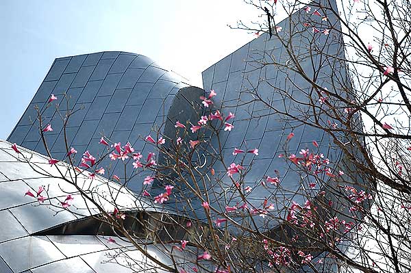 The Walt Disney Concert Hall - detail