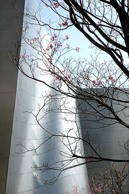 ... at the Walt Disney Concert Hall Garden