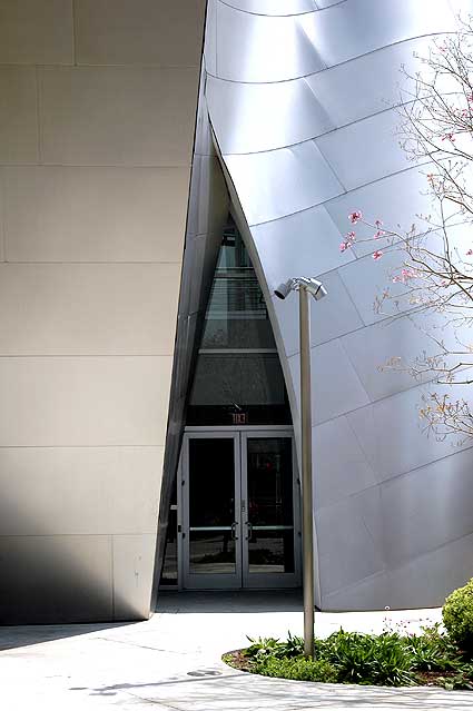 The Walt Disney Concert Hall - detail