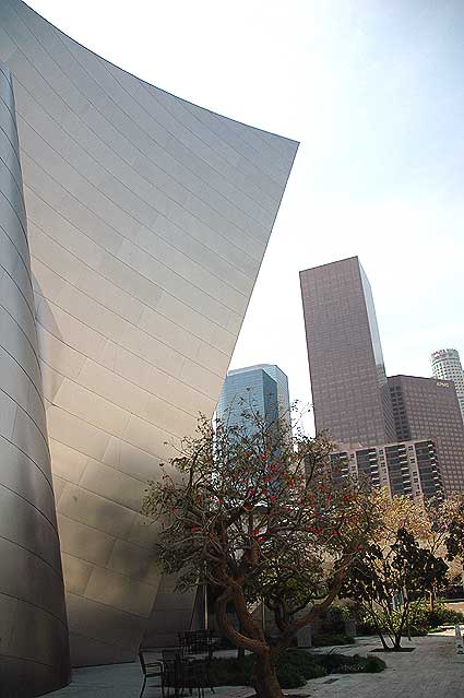 The Walt Disney Concert Hall - detail