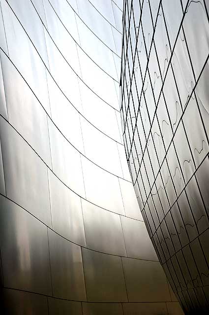 The Walt Disney Concert Hall - detail