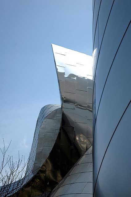 The Walt Disney Concert Hall - detail