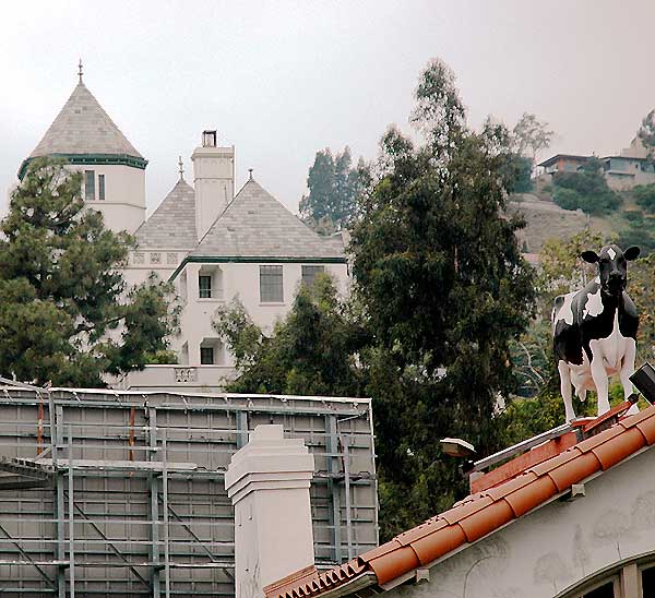 Chateau Marmont with cow, Sunset Strip
