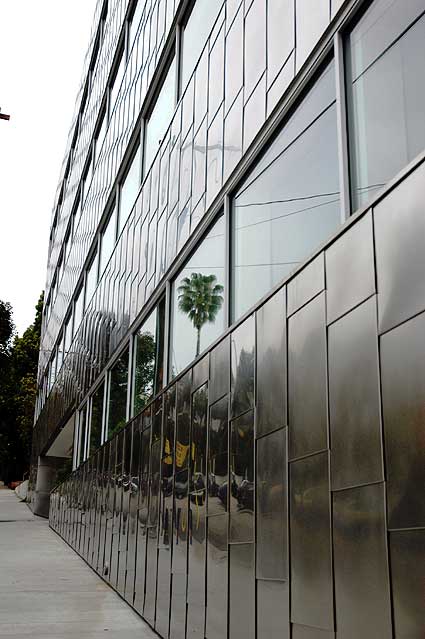 Palm reflected in window, Sunset Strip