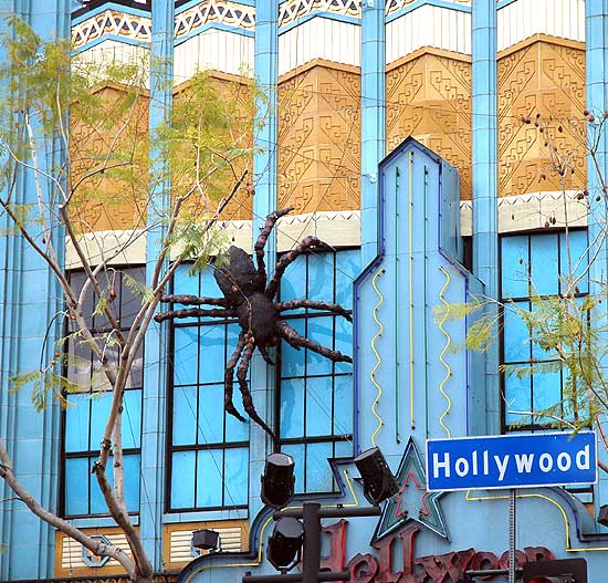 Spider on Hollywood Boulevard