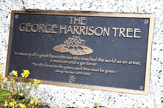 The George Harrison Tree in Griffith Park (marker)