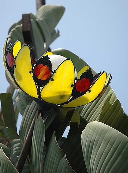 Lamp in banana tree, Melrose Avenue, Los Angeles