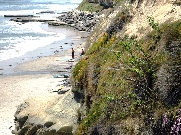 Surfers, Encinitas