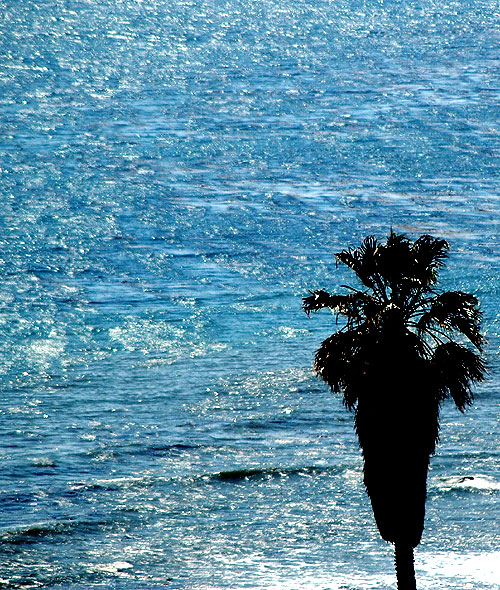 The Pacific at San Pedro, California