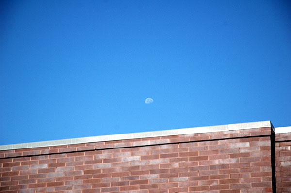 The morning moon floating over Hollywood Boulevard