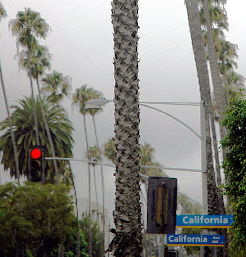 Santa Monica in the early morning marine layer - 