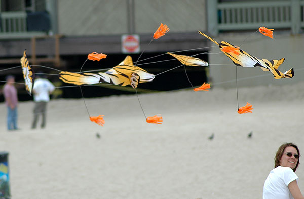 The Thirty-Second Annual Festival of the Kite