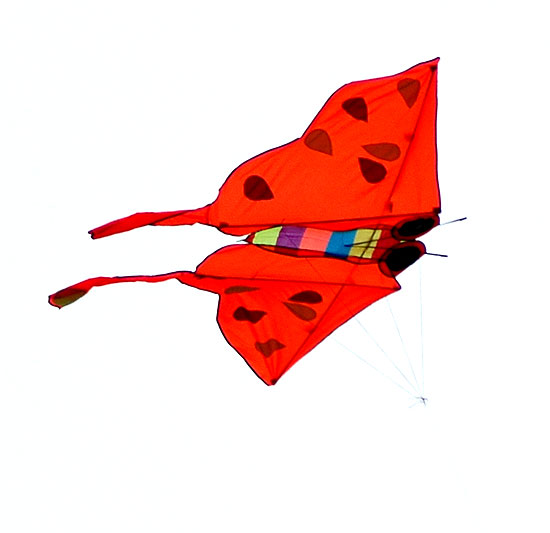 The Thirty-Second Annual Festival of the Kite