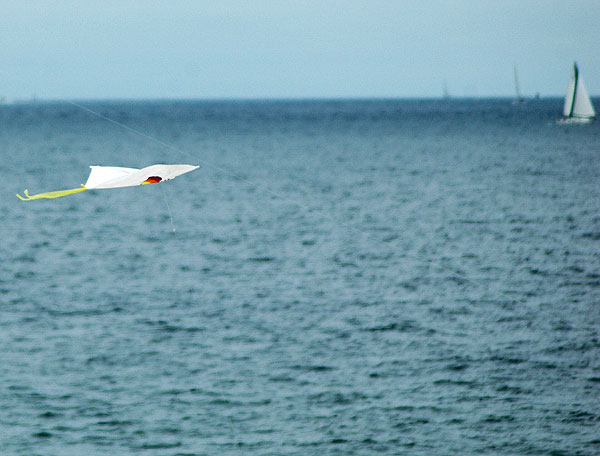 The Thirty-Second Annual Festival of the Kite 