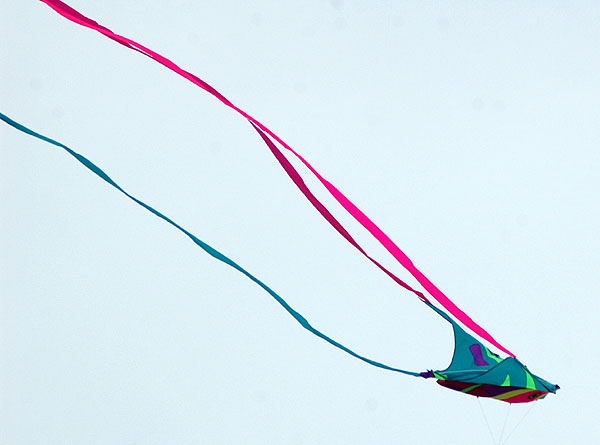 The Thirty-Second Annual Festival of the Kite