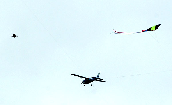 The Thirty-Second Annual Festival of the Kite 