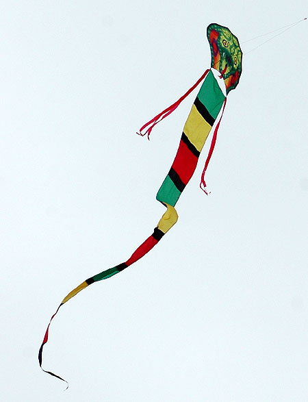 The Thirty-Second Annual Festival of the Kite