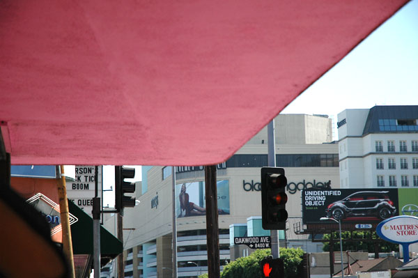 Pink Thing of The Day: Trashy Lingerie Store Exterior