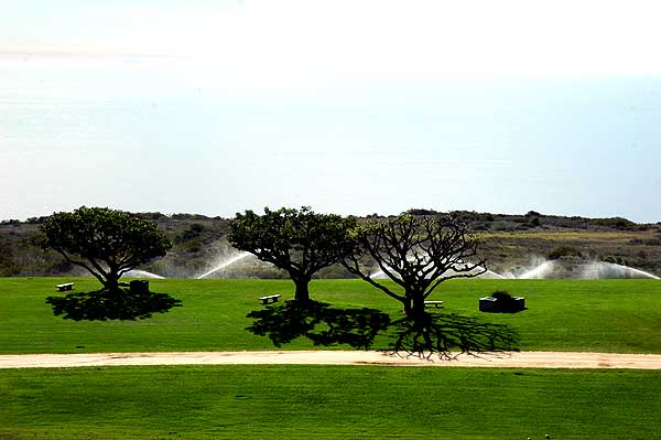 Alumni Park, Pepperdine University, November 2005 