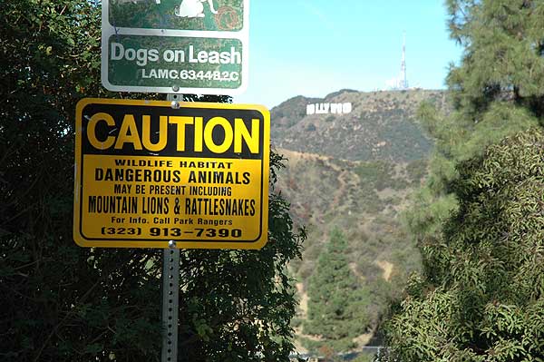 Hollywood warning sign and Hollywood Sign