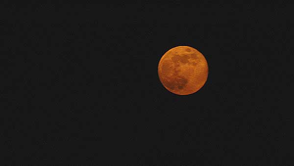 Full Moon, Hollywood Hills, 15 December 2005