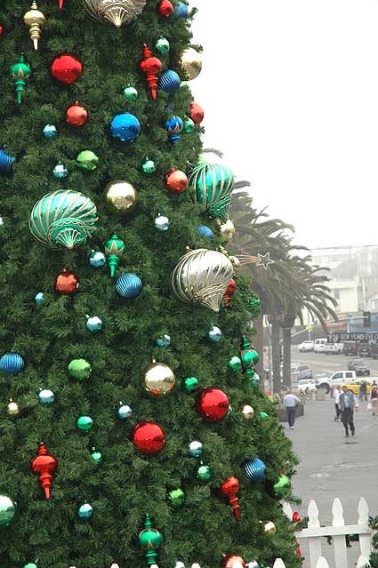 Hermosa Beach, 22 December 2005