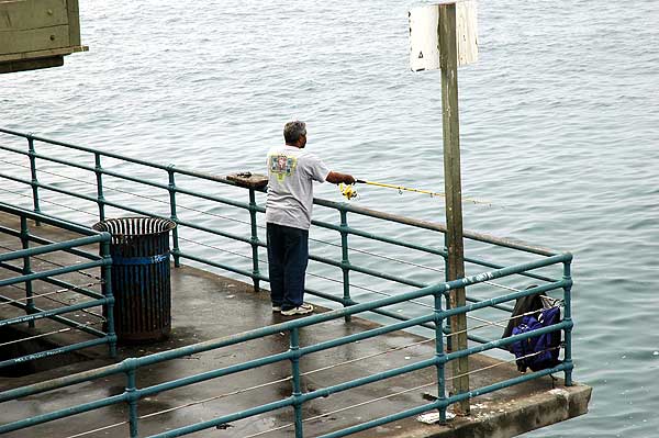 The Santa Monica Pier