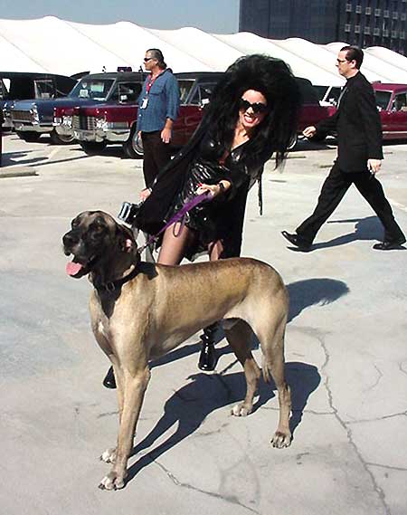 The World's Longest Hearse Procession 10/29/05