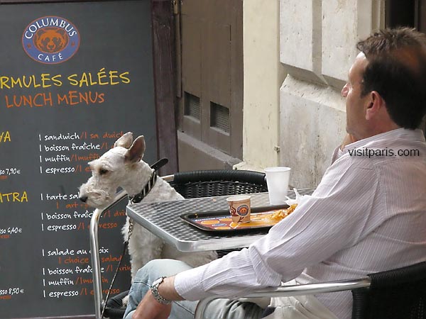 Paris Café with dog...
