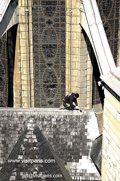 ... new slate tiles on Paris roof