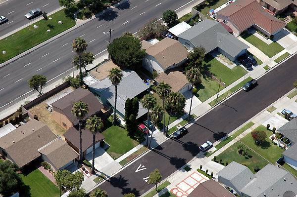 Palm trees seen from the Goodyear Blimp ...