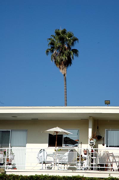 Ironic Hollywood above the pool ,,,