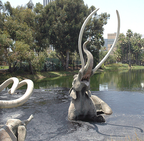 La Brea Tar Pits