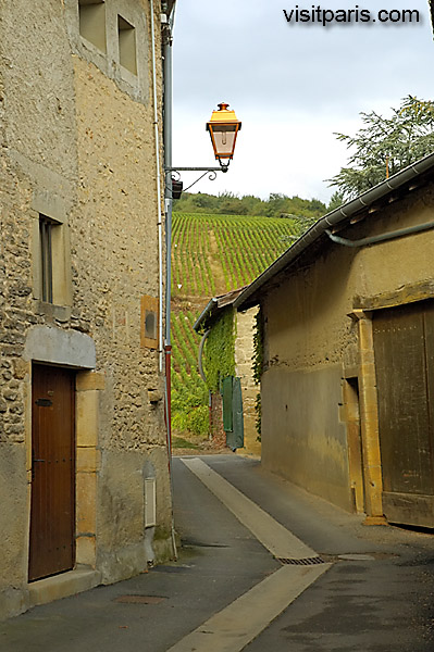 Harvest in Fuissé - September 2005  